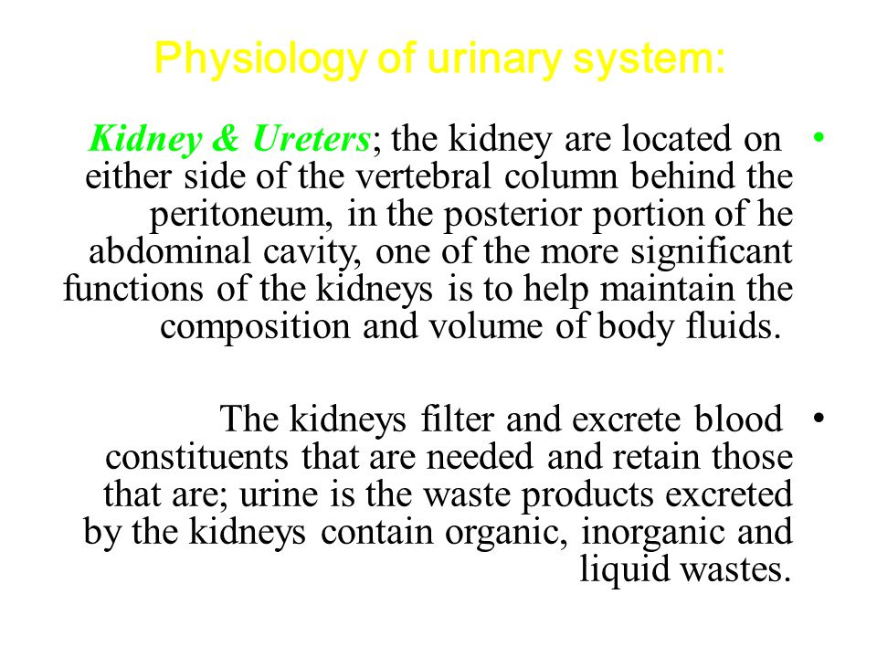Fundamentals of Urine and Body Fluid Analysis 4e